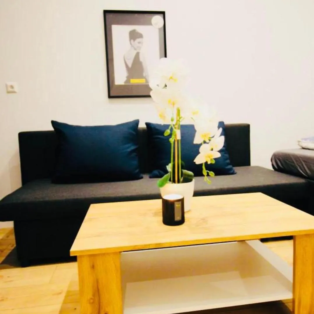 Super Central Cozy 5 Bedroom Shared Apt 10Min Walk To Augarten Vienna