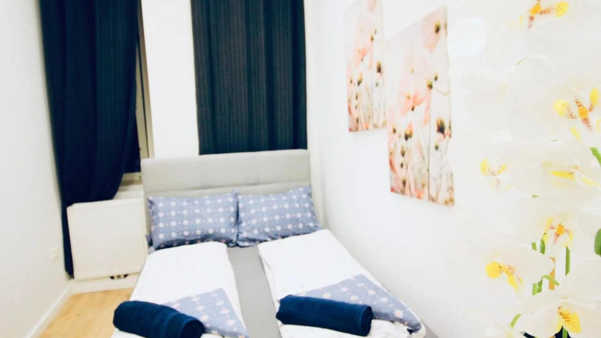 Super Central Cozy 5 Bedroom Shared Apt 10Min Walk To Augarten Wenen 0*,  Oostenrijk