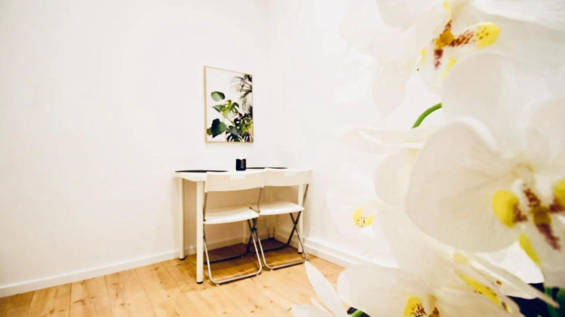 Super Central Cozy 5 Bedroom Shared Apt 10Min Walk To Augarten Viena