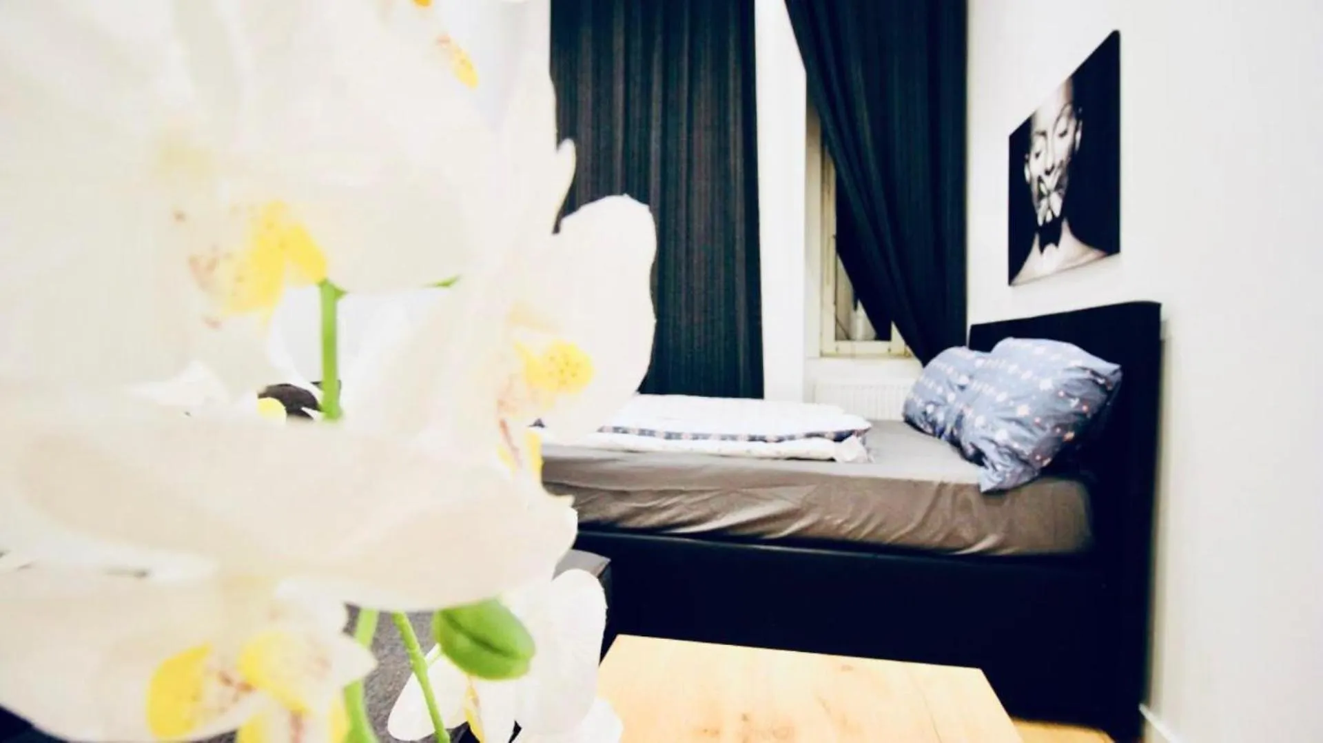 Super Central Cozy 5 Bedroom Shared Apt 10Min Walk To Augarten Wenen
