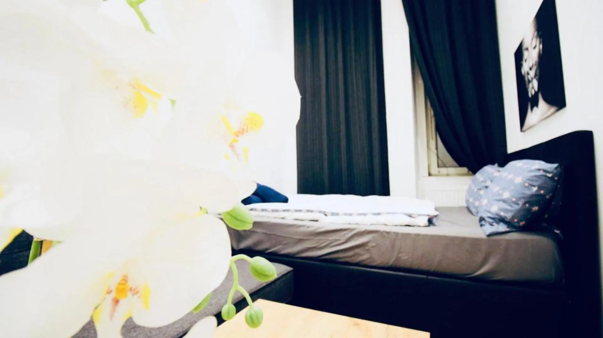 Super Central Cozy 5 Bedroom Shared Apt 10Min Walk To Augarten Wenen 0*,